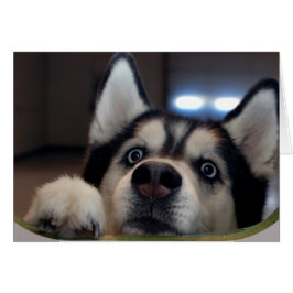 Ist jemand da draußen?