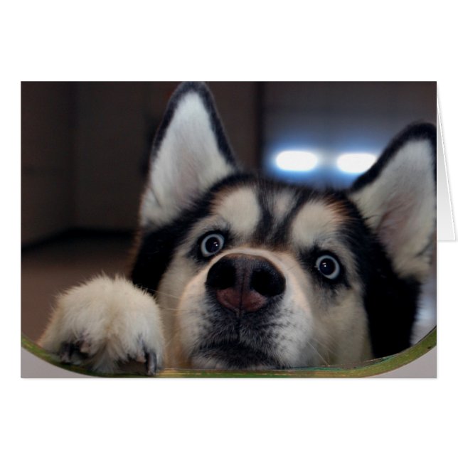 Ist jemand da draußen? (Vorderseite (Horizontal))