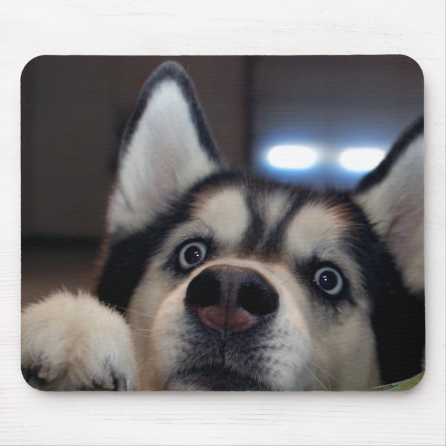 Ist jemand dort draussen? mousepad (Vorne)