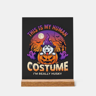 Ist menschliche Kostüm Husky-Kürbis Halloween-Geis Acrylschild