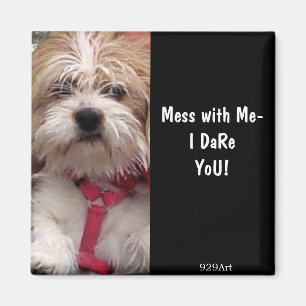 Ist nicht Nothin aber ein Jagdhund Magnet