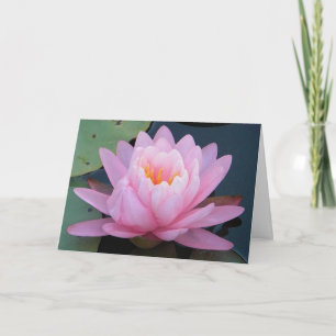 IST rosa Wasserlilie erhalten wohle Karte