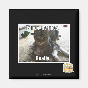 Ist Umarmung. Er mag Magnet