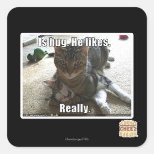 Ist Umarmung. Er mag Quadratischer Aufkleber