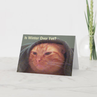 Ist Winter vorbei schon? Katzen-Gruß-Karte Feiertagskarte