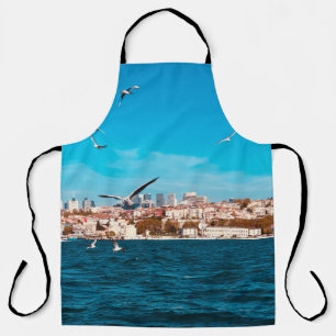 Istanbul-Ansicht mit Möwen an einem warmen sonnige Schürze
