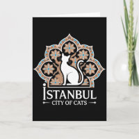 Istanbul Stadt der Katzen Türkisches Erbe Hagia So