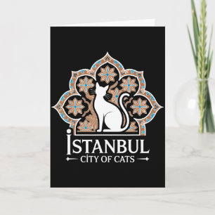 Istanbul Stadt der Katzen Türkisches Erbe Hagia So Karte