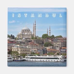 Istanbul. Stadtansicht. Magnet