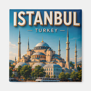 Istanbul Türkei Hagia Sophia Bosporus Kulturell Magnet