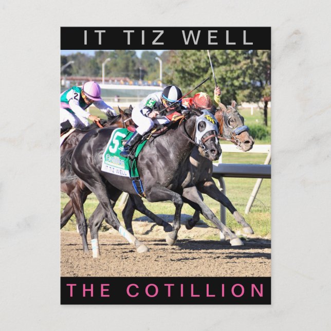 It Tiz Well - The Cotillion Gewinner Postkarte (Vorderseite)