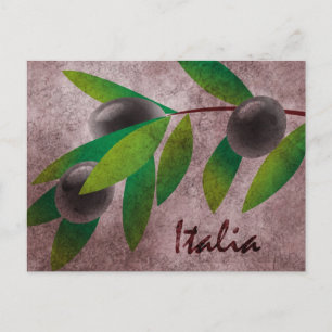 Italia Olives Postkarte