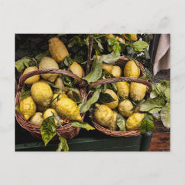 Italian Amalia Lemons in a Basket Postkarte