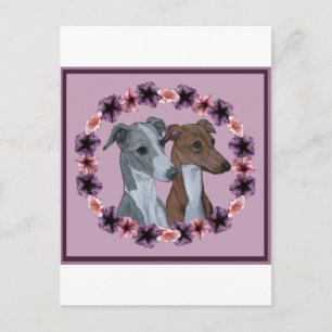 ITALIAN GREYHOUND DUO POSTKARTE