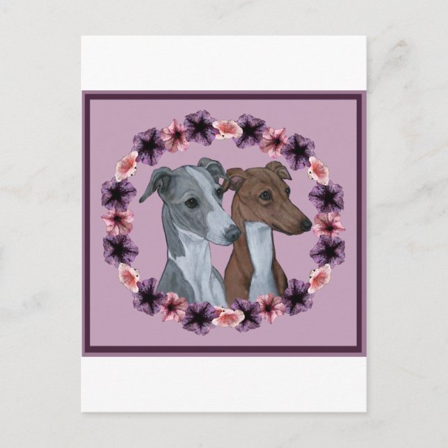ITALIAN GREYHOUND DUO POSTKARTE (Vorderseite)