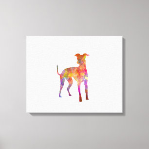 Italian Greyhound im Watercolor Leinwanddruck