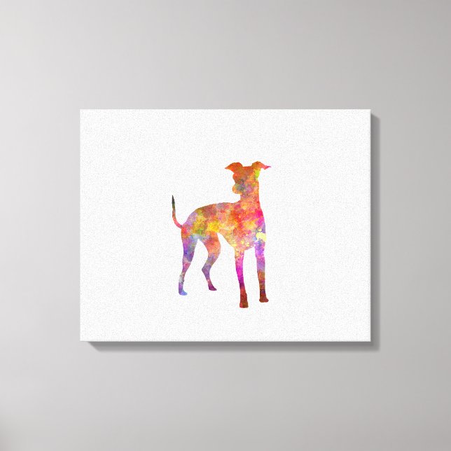 Italian Greyhound im Watercolor Leinwanddruck (Vorderseite)