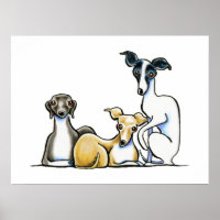 Italian Greyhound Trio