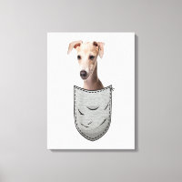Italian Greyhound Whippet Chest Pocket For Dog Own
