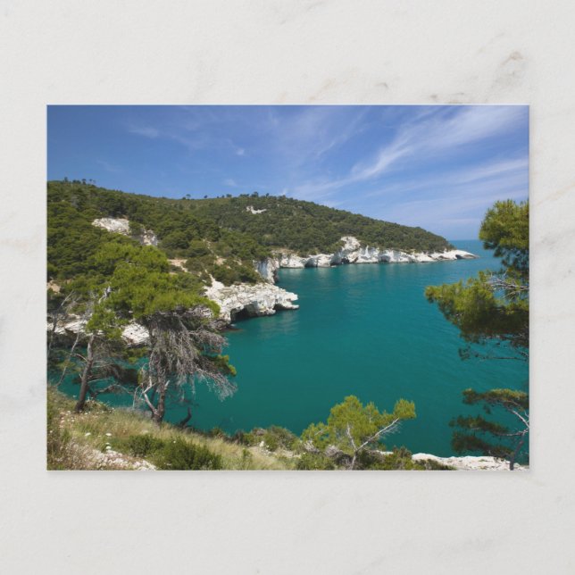 Italien, Apulien, Promontorio del Gargano, Testa Postkarte (Vorderseite)