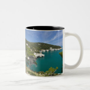 Italien, Apulien, Promontorio del Gargano, Testa Zweifarbige Tasse