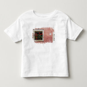 Italien, Asciano, Blumenkästen mit frühlingsfrisch Kleinkind T-shirt