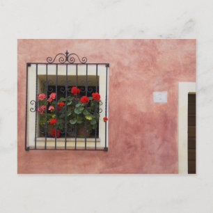 Italien, Asciano, Blumenkästen mit frühlingsfrisch Postkarte