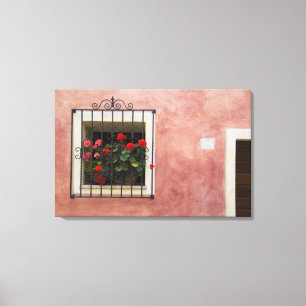 Italien, Asciano, Window Boxes mit frischem Frühl Leinwanddruck