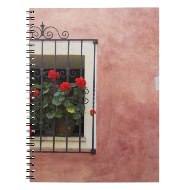 Italien, Asciano, Window Boxes mit frischem Frühli Notizblock (Vorderseite)
