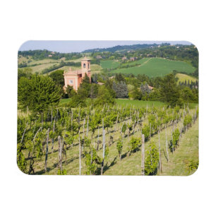 Italien, Bologna, Blick durch den Weinberg auf Chi Magnet