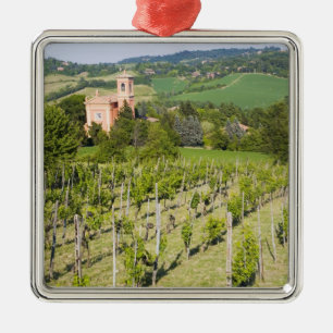 Italien, Bologna, Blick durch den Weinberg auf Chi Ornament Aus Metall