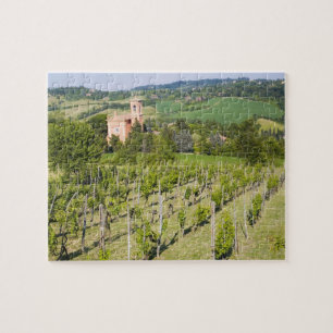 Italien, Bologna, Blick durch den Weinberg auf Chi Puzzle