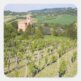 Italien, Bologna, Blick durch den Weinberg auf Chi Quadratischer Aufkleber