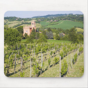 Italien, Bologna, Blick durch Weinberg auf Chiesa Mousepad