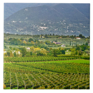 Italien, Gardasee. Die Ufer des Gardasees sind Fliese