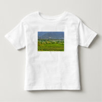 Italien, Gardasee. Die Ufer des Gardasees sind