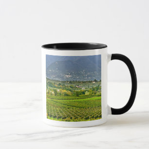 Italien, Gardasee. Die Ufer des Gardasees sind Tasse