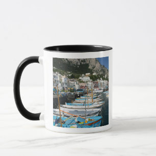 ITALIEN, Kampanien (Bucht von Neapel), CAPRI:Marin Tasse
