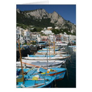 ITALIEN, Kampanien, (Golf von Neapel), CAPRI: Mari