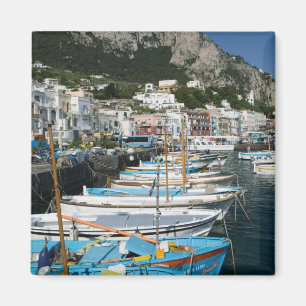 ITALIEN, Kampanien, (Golf von Neapel), CAPRI: Mari Magnet