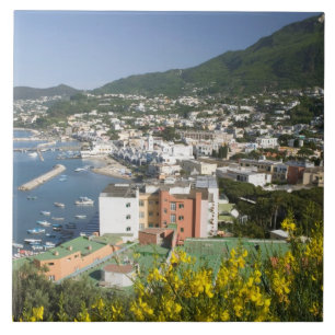 ITALIEN, Kampanien, (Golf von Neapel), ISCHIA, LAC Fliese