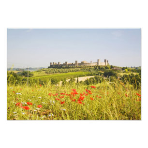 Italien, Monteriggioni, Field View of the Fotodruck