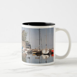 Italien, Provinz Verona, Torri del Benaco. Il Zweifarbige Tasse