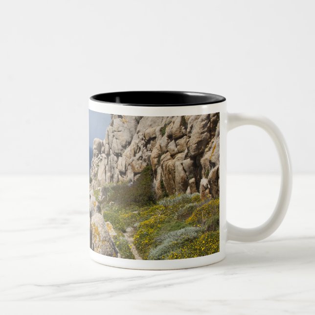 Italien, Sardinien, Sankt Teresa Gallura. Capo 2 Zweifarbige Tasse (Rechts)