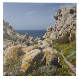Italien, Sardinien, Santa Teresa Gallura. Capo 2 Fliese