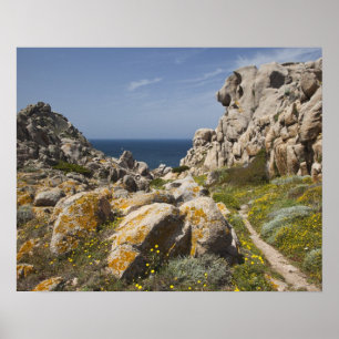 Italien, Sardinien, Santa Teresa Gallura. Capo 2 Poster