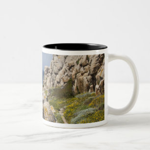 Italien, Sardinien, Santa Teresa Gallura. Capo 2 Zweifarbige Tasse