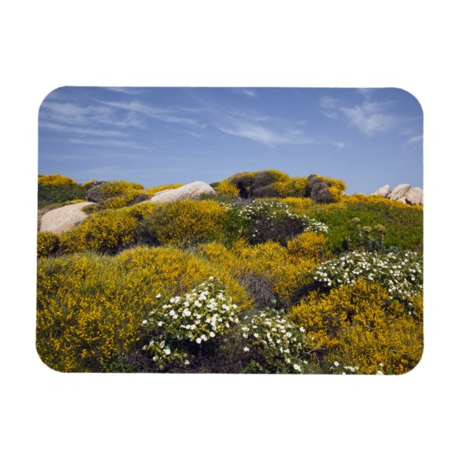 Italien, Sardinien, Santa Teresa Gallura. Capo 3 Magnet (Horizontal)