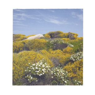 Italien, Sardinien, Santa Teresa Gallura. Capo 3 Notizblock