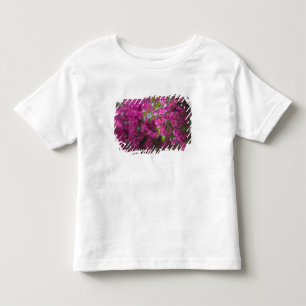 Italien, Sizilien, Cefalu, Blumenreicher Hof bei Kleinkind T-shirt